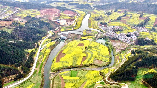 羅平九龍河畔流金溢彩(毛虹攝).jpg 羅平九龍河畔流金溢彩(毛虹攝).jpg